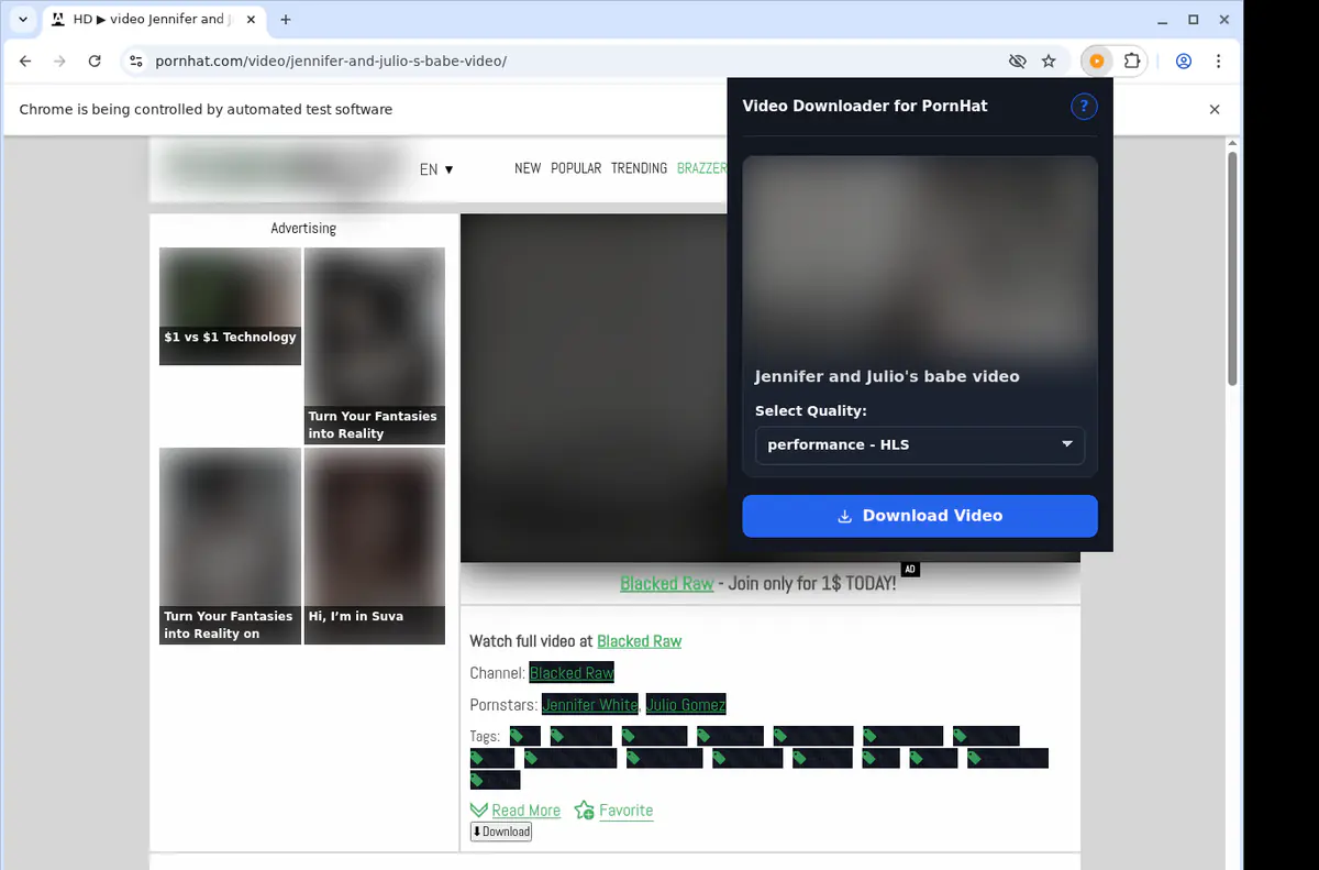 PornHat Video Downloader browser extension screenshot 3
